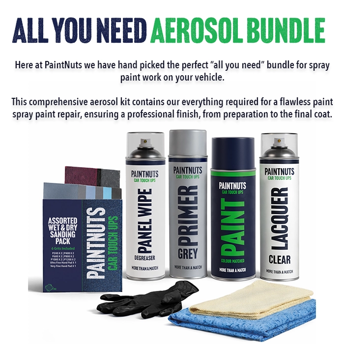 PaintNuts 'All you need' Colour Matched Spray Paint Bundle